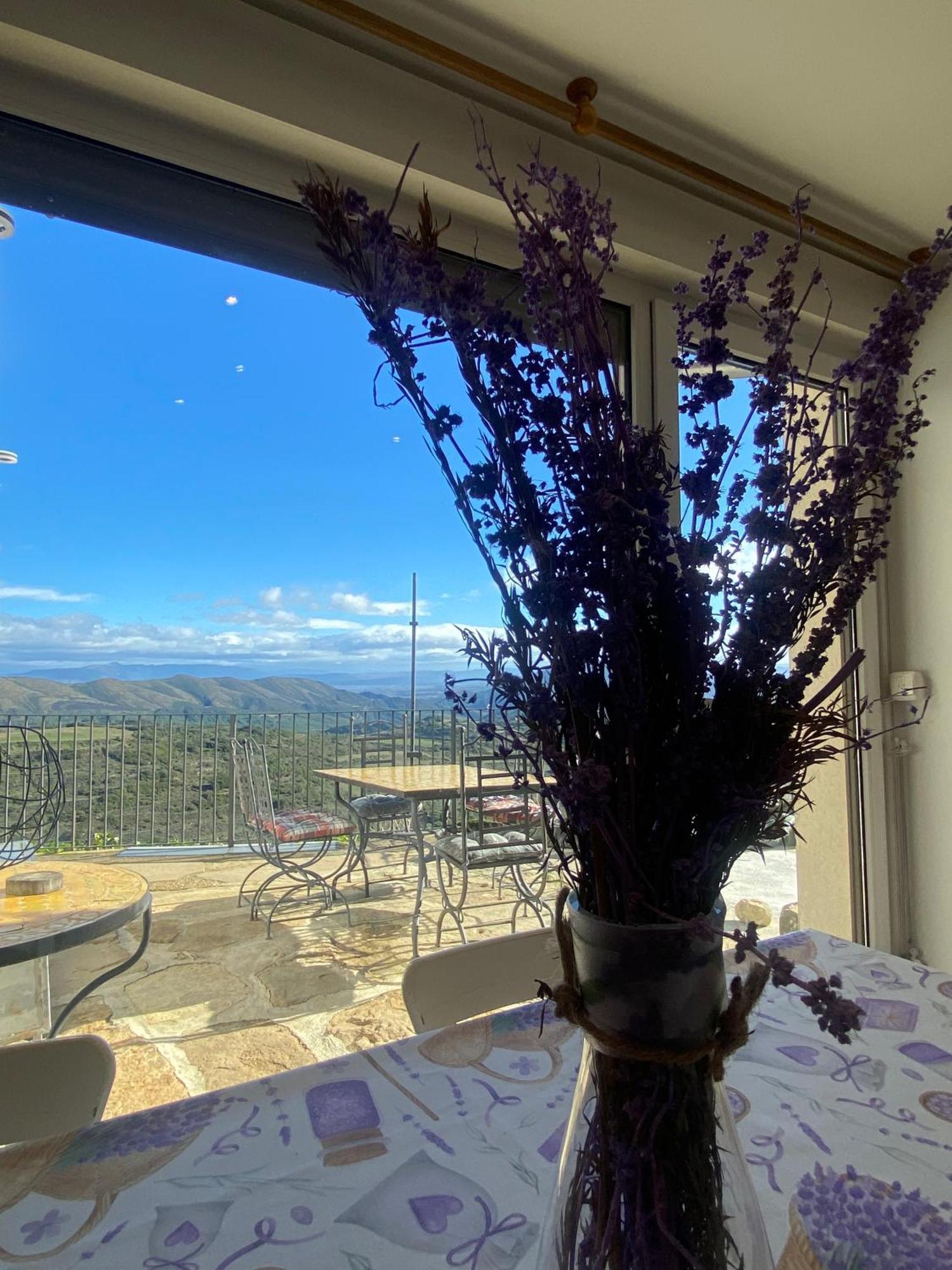 Agrovillaujue Apartamentos Rurales Exterior photo